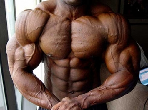 Recommendations on the choice of PCT after a course of testosterone muscle mass Recommendations on the choice of PCT after a course of testosterone muscle mass