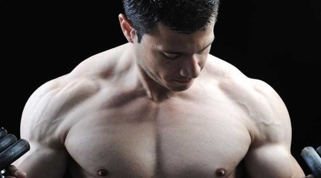 muscular chest