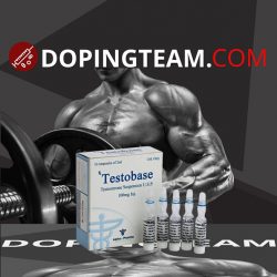 Testobase amp on dopingteam.com