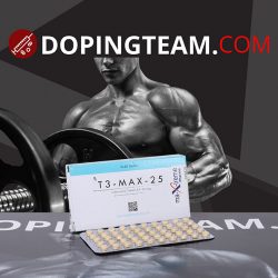 t3-max-25 on dopingteam.com